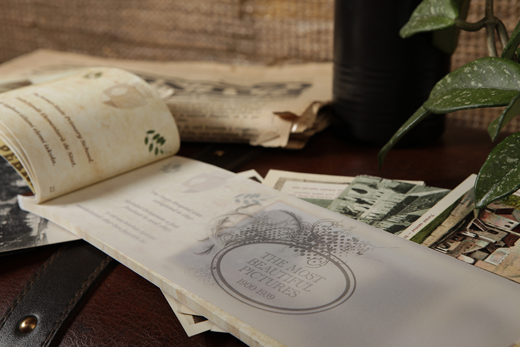 Vechea_Sighisoara_1 Vechea_Sighisoara_1