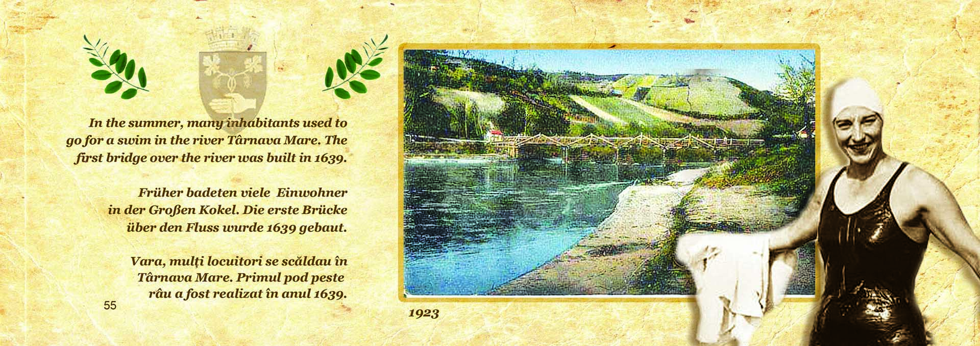 Vechiul_Medias_15 Vechiul_Medias_15